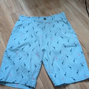 PLUGG FLEX Men’s Flamingo Print Chino Shorts - Size 29 - Aqua Blue Stretch